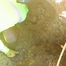 Plumbing and Shed (448714)