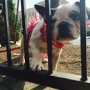 Nephew's Christmas (448720)