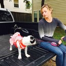 Nephew's Christmas (448667)