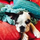 XMas with Brooke's Family (448632)