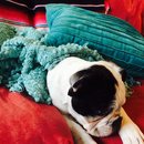 XMas with Brooke's Family (448682)