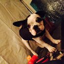 Dreux's Starwars Birthday (448775)