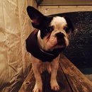 Dreux's Starwars Birthday (448642)