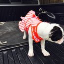 Nephew's Christmas (448813)