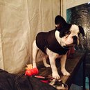 Dreux's Starwars Birthday (448815)