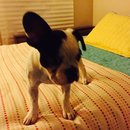 Rehearsal and Studio Time (448770)