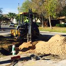 Plumbing and Shed (448664)