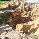 Plumbing and Shed (448773)