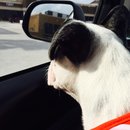 Nephew's Christmas (448776)