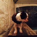 Dreux's Starwars Birthday (448686)