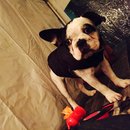 Dreux's Starwars Birthday (448738)