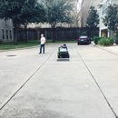 Nephew's Christmas (448748)