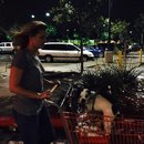 Rehearsal and Studio Time (448935)