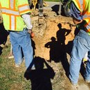 Plumbing and Shed (448954)