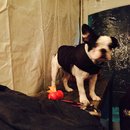 Dreux's Starwars Birthday (448853)