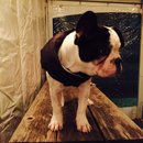 Dreux's Starwars Birthday (448916)