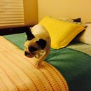 Rehearsal and Studio Time (449008)