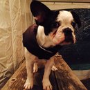 Dreux's Starwars Birthday (448970)