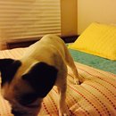 Rehearsal and Studio Time (448969)