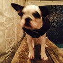 Dreux's Starwars Birthday (448904)