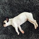 XMas with Brooke's Family (448964)