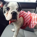 Nephew's Christmas (448898)