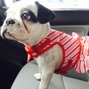 Nephew's Christmas (448894)