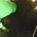 Plumbing and Shed (448917)