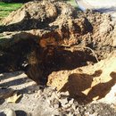 Plumbing and Shed (448895)