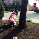 Nephew's Christmas (448931)