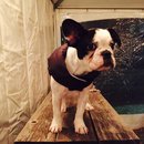 Dreux's Starwars Birthday (448849)