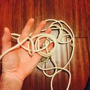 2016 Random iPhone Photos (448902)