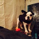 Dreux's Starwars Birthday (448929)