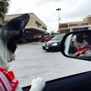 Nephew's Christmas (448947)