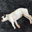 XMas with Brooke's Family (448959)