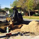 Plumbing and Shed (448866)