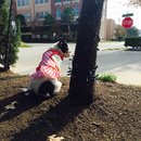 Nephew's Christmas (448852)