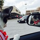 Nephew's Christmas (448911)