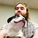 Panda and a Play (452717)