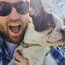 Afternoon with Panda (452619)