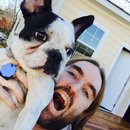 Panda and a Play (452675)