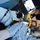 Panda and a Play (452593)