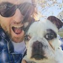 Afternoon with Panda (452579)