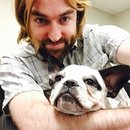 Little Panda at the Office (452804)