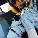 Panda and a Play (452755)