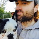 Panda and a Play (452860)