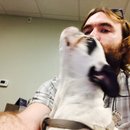 Panda and a Play (452780)