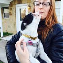 Panda and a Play (453006)