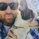 Afternoon with Panda (453025)