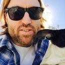 Afternoon with Panda (453203)